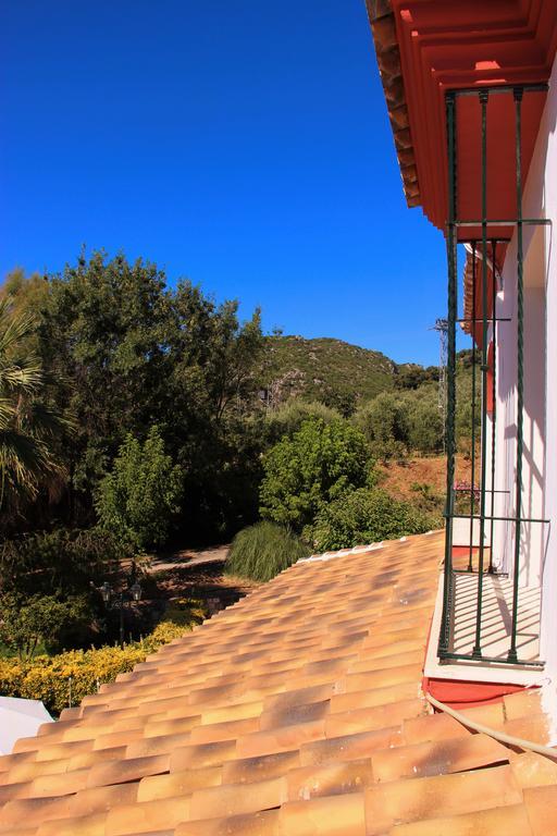 Hostal La Zamora Carcabuey Dış mekan fotoğraf