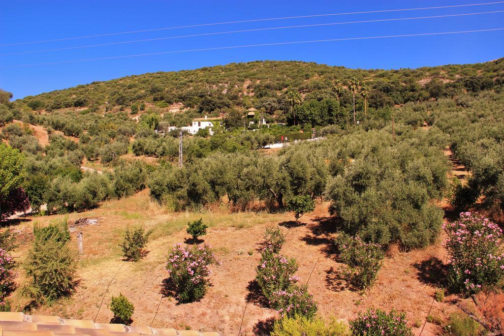 Hostal La Zamora Carcabuey Dış mekan fotoğraf